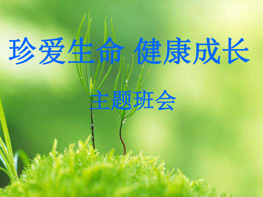 珍爱生命-健康成长.ppt课件.ppt_第1页