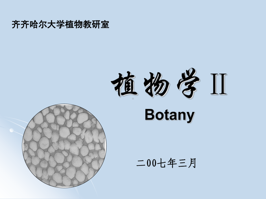 植物学课件.ppt_第1页