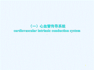 正常心电图培训课件.ppt