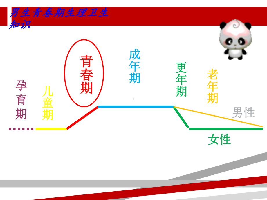 男生青春期生理卫生知识课件.ppt_第1页