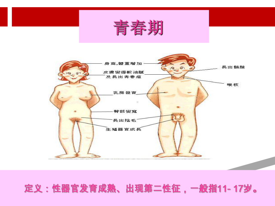 男生青春期生理卫生知识课件.ppt_第3页