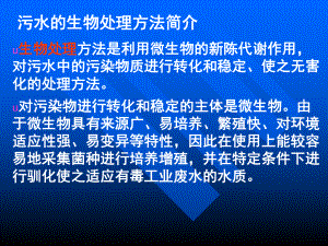 活性污泥法的核心曝气系统课件.ppt