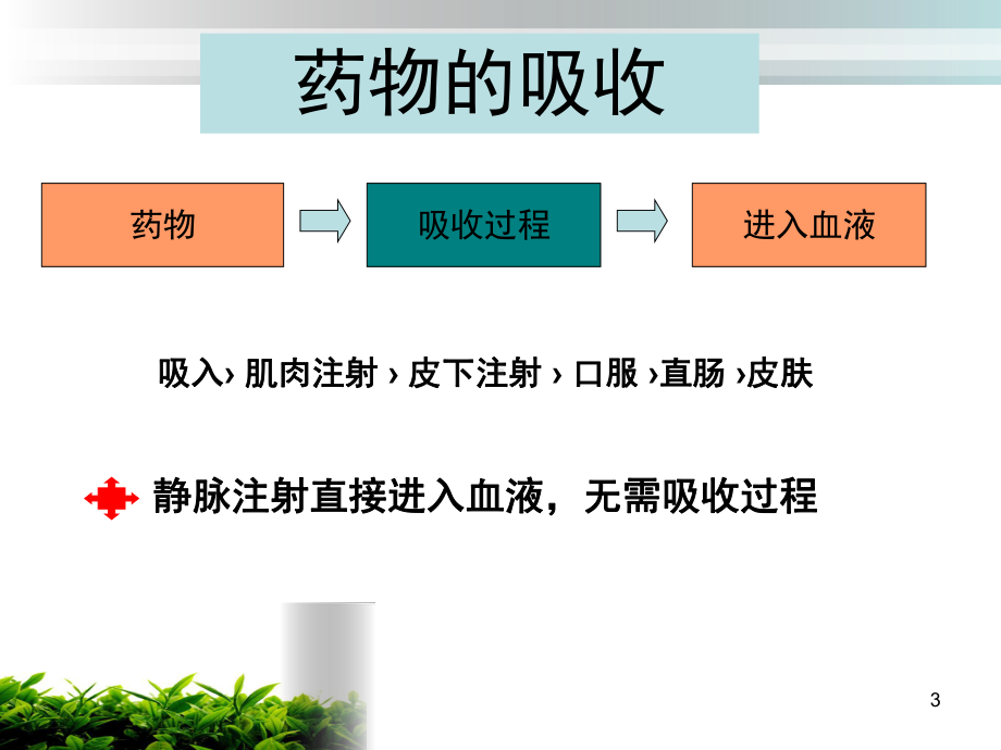 泌尿外科常用药物及护理课件.ppt_第3页