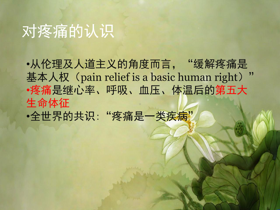 癌痛诊疗规范.ppt课件.ppt_第2页