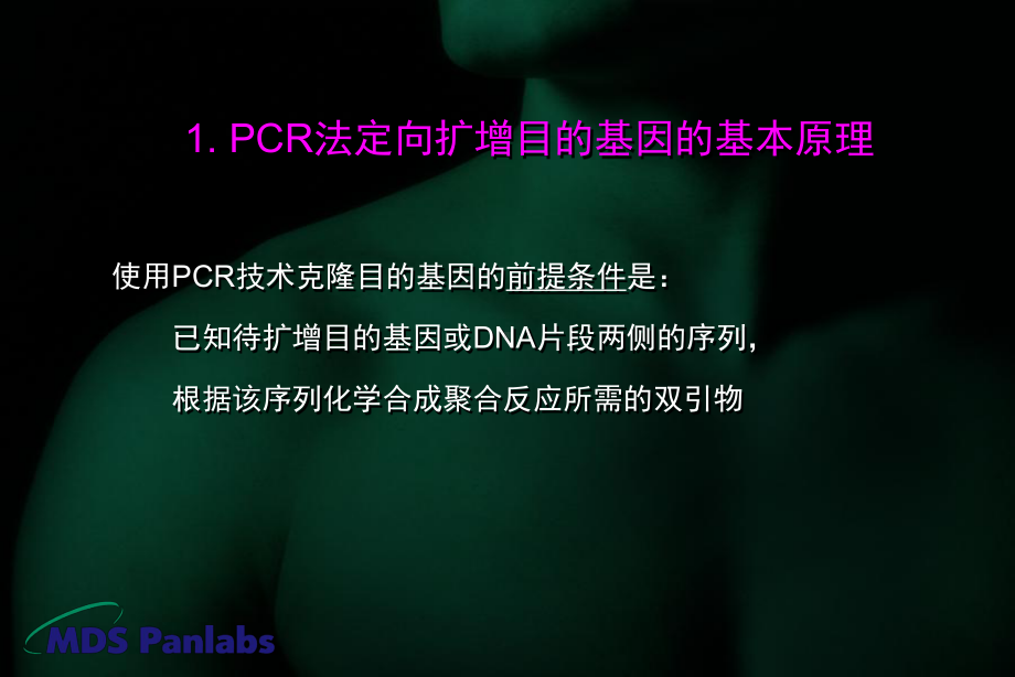 目的基因的克隆课件.ppt_第3页