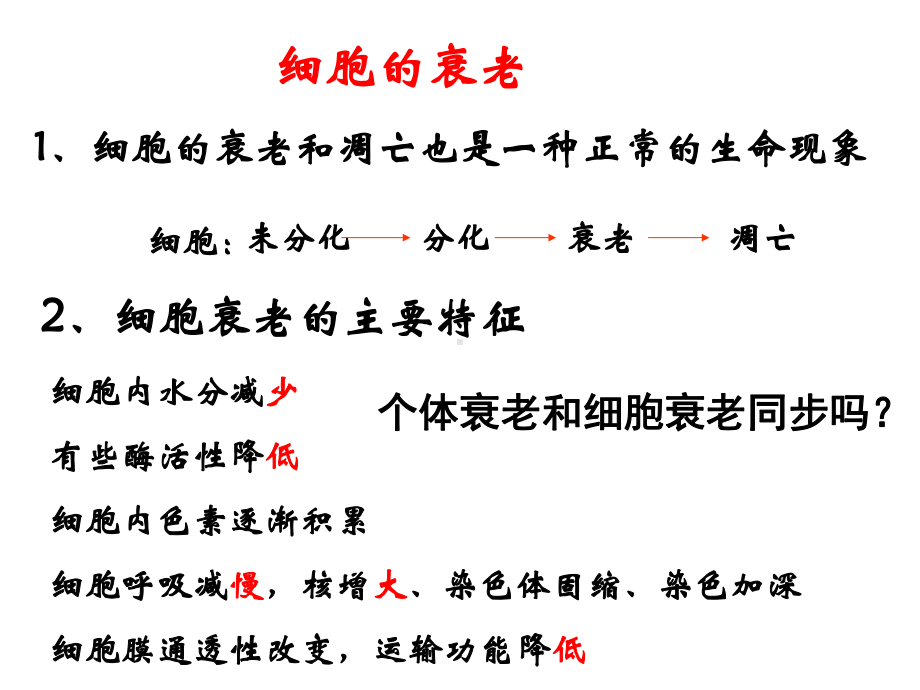 癌症的治疗方法化疗原理是抑制癌细胞增殖过程课件.ppt_第2页