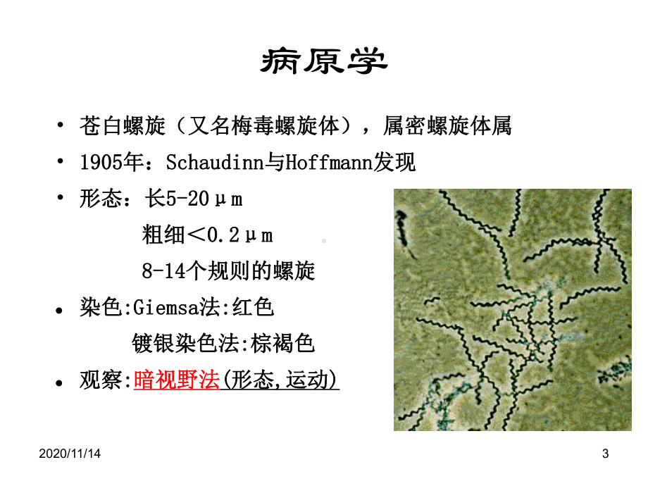 神经梅毒诊断与治疗课件.ppt_第3页