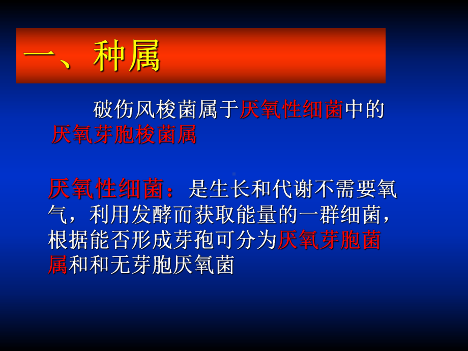 破伤风梭菌课件.ppt_第2页