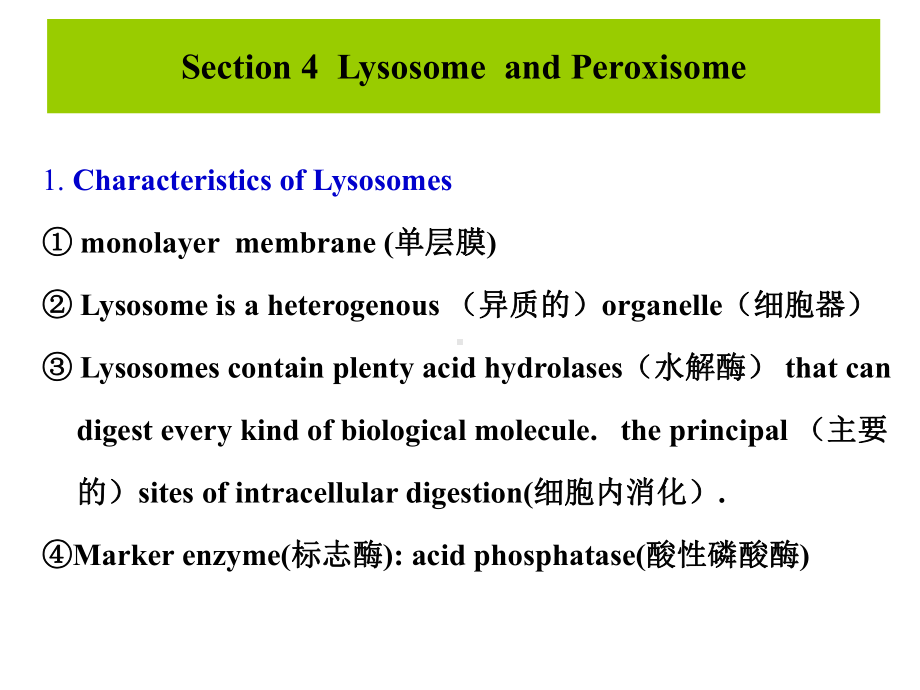 细胞质基质与细胞内膜系统课件.ppt_第1页