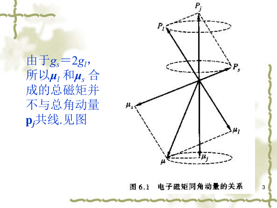 第六章磁场中的原子课件.ppt_第3页