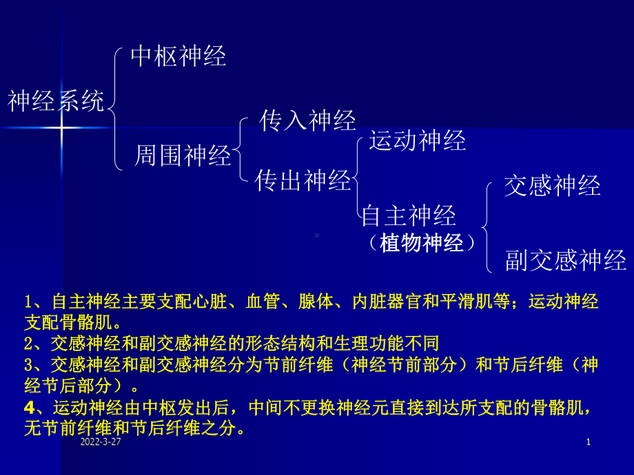 第三讲-传出神经系统课件.ppt_第1页