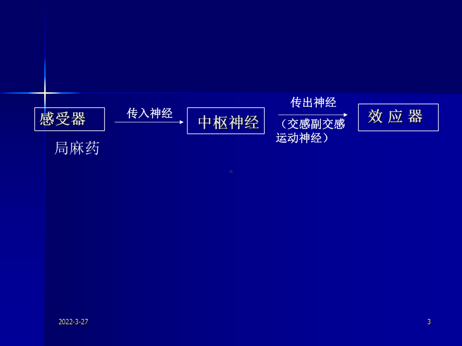 第三讲-传出神经系统课件.ppt_第3页