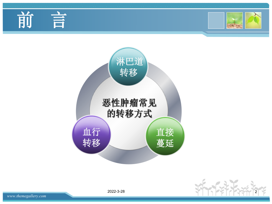 肿瘤与新生淋巴管分析课件.ppt_第2页