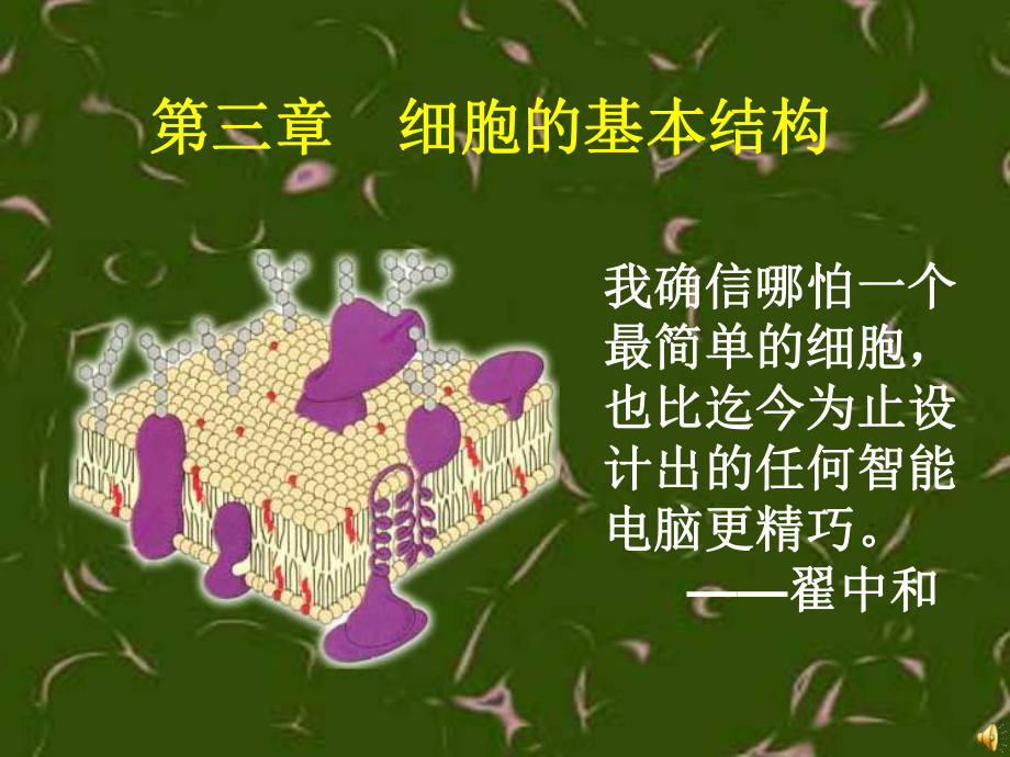 细胞的边界课件.ppt_第1页