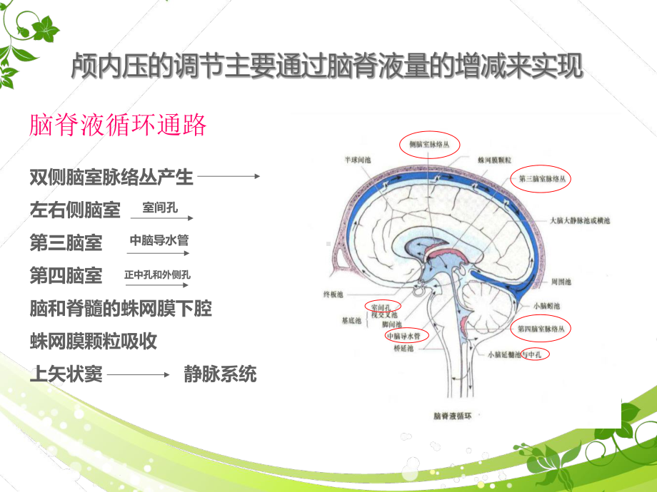 脑室引流管的护理概要课件.ppt_第3页