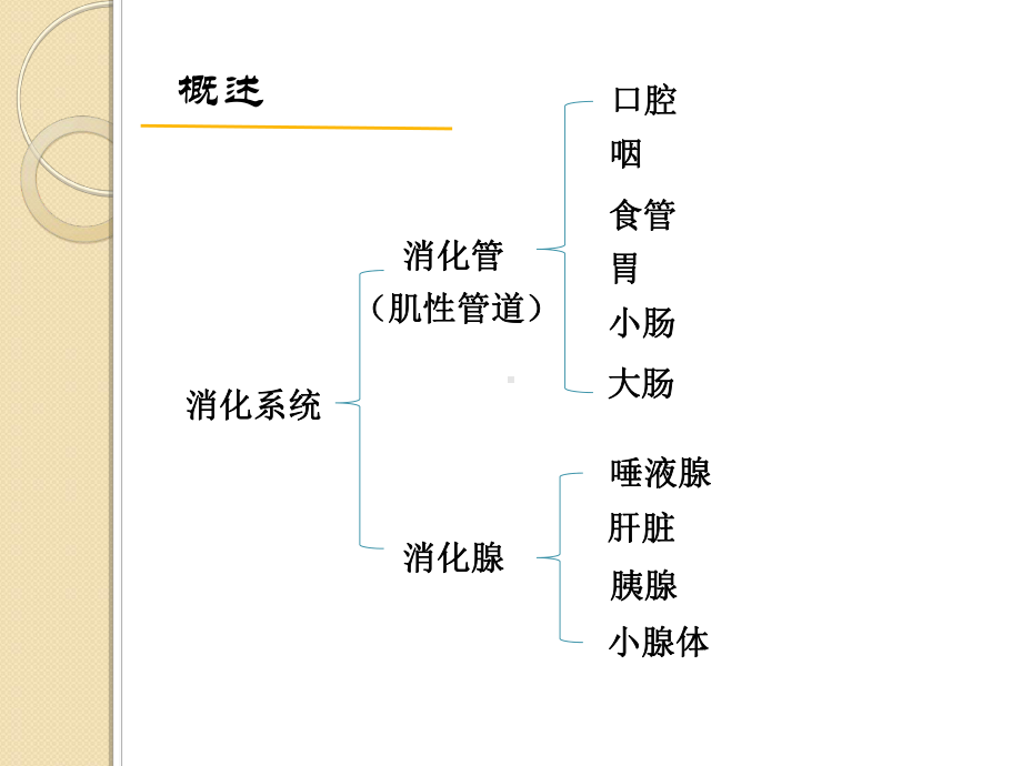 老年人消化系统疾病患者护理课件.ppt_第2页