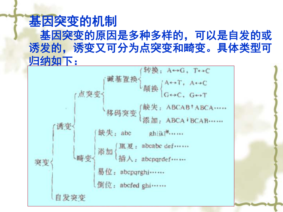 第三章-基因突变课件.ppt_第2页