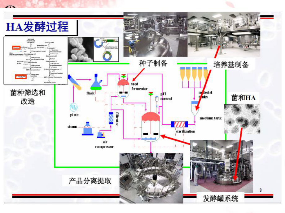 第七章-发酵工艺控制课件.ppt_第1页