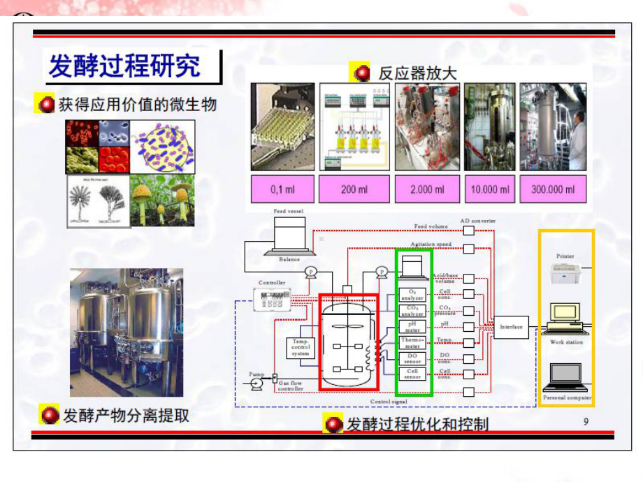 第七章-发酵工艺控制课件.ppt_第2页