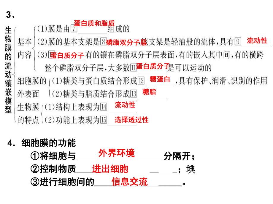 细胞膜的成分结构和功能课件.ppt_第3页