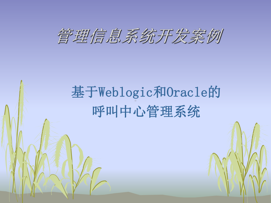 管理信息系统开发案列分析课件.ppt_第1页