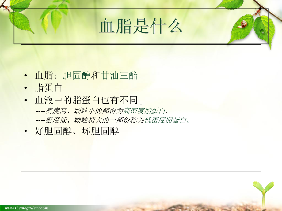 老年慢性病护理高脂血症课件.ppt_第3页