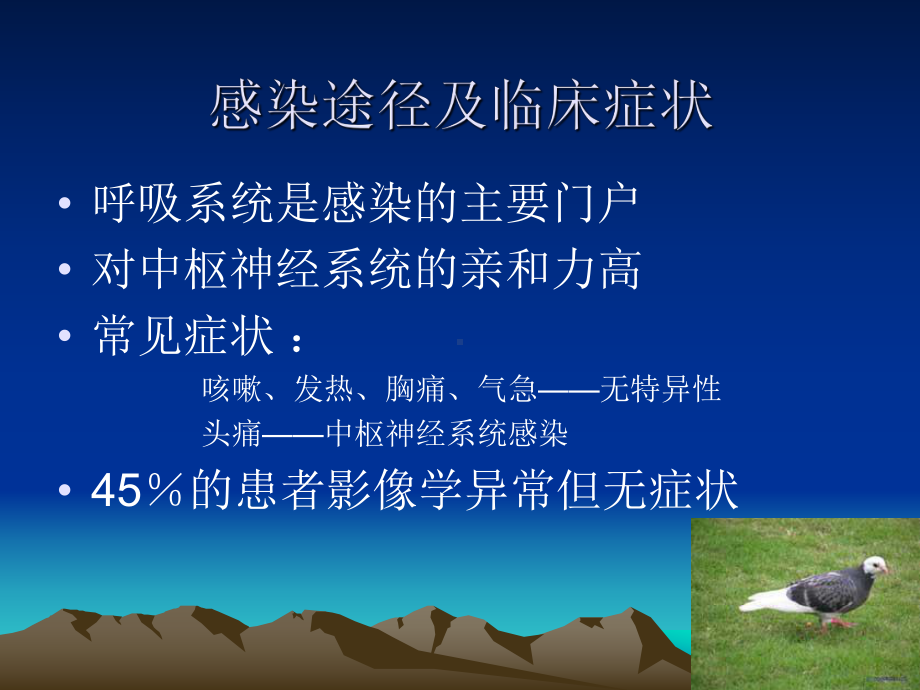 肺隐球菌病的CT诊断分析课件.ppt_第3页