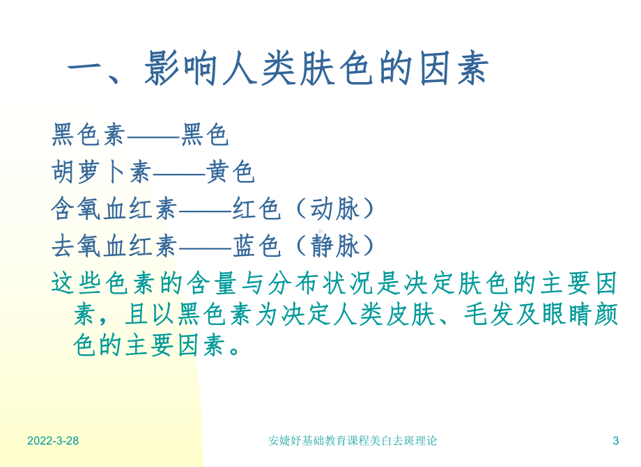 美白去斑理论课件.ppt_第3页