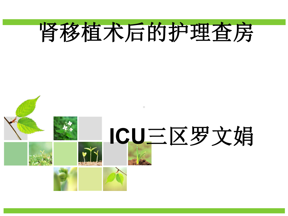 肾移植术后护理查房课件.ppt_第1页