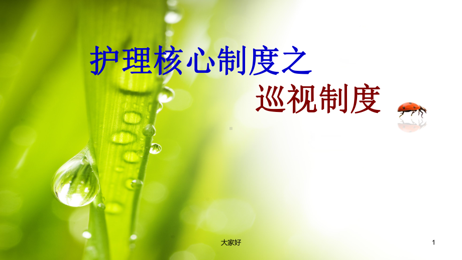 精神科护理巡视制度-PPT课件.ppt_第1页