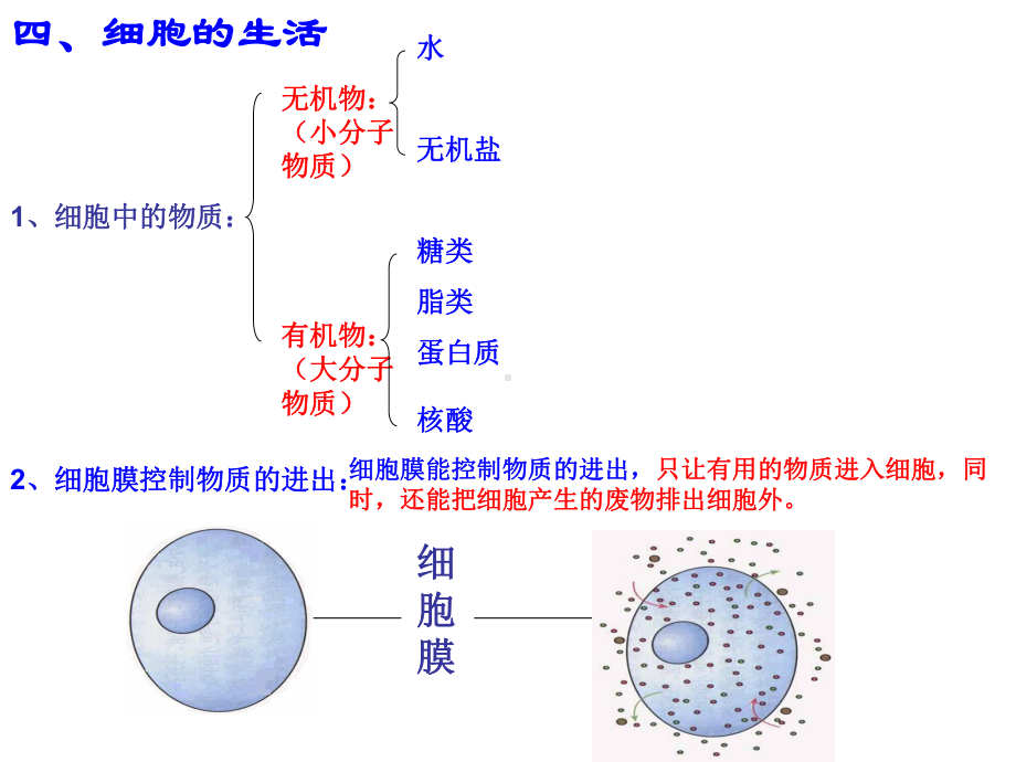 细胞的结构与生活和结构层次0课件.ppt_第3页