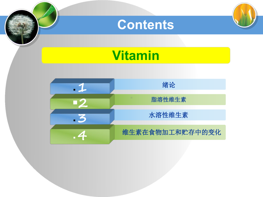 维生素PPT课件.ppt_第1页