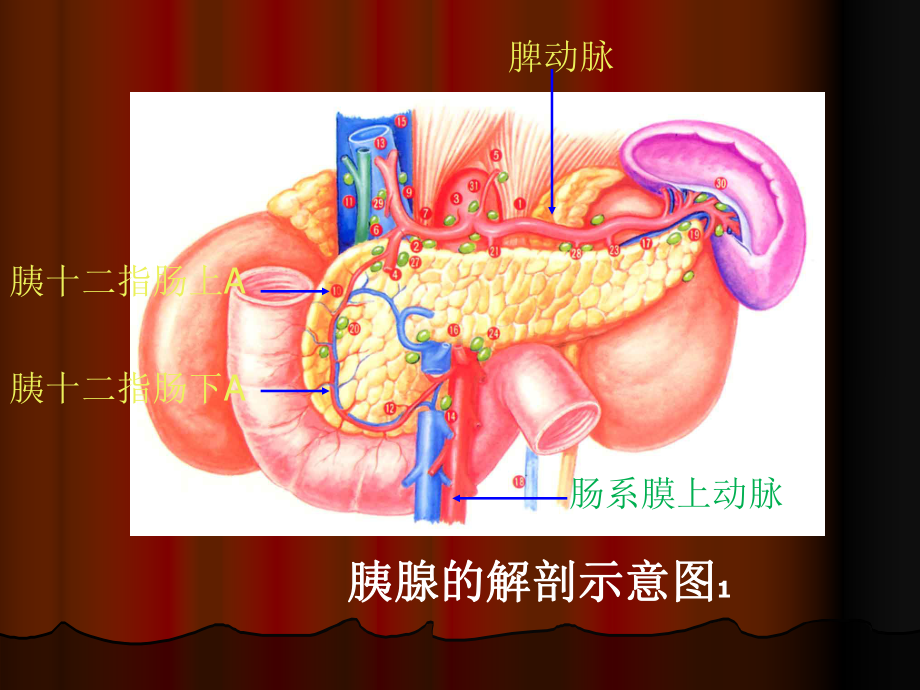 胰腺炎的治疗指南分析课件.ppt_第2页