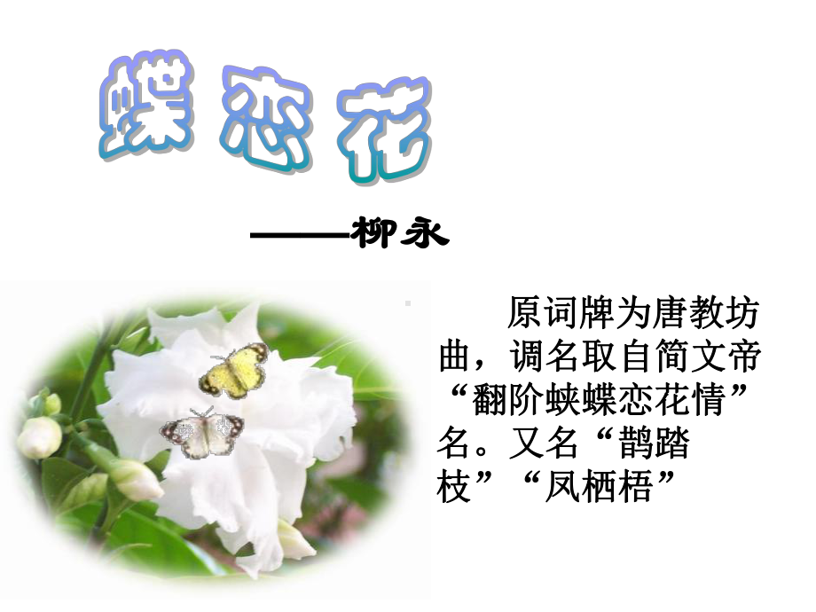 蝶恋花.课件.ppt_第1页