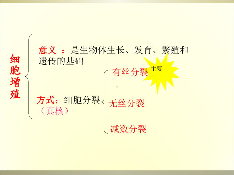 细胞增殖有丝分裂课件.ppt_第1页