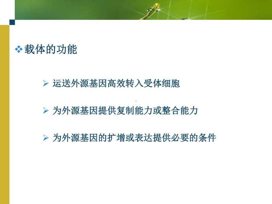 第三章-基因工程常用的克隆载体课件.ppt_第1页