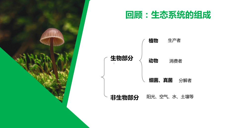 人教版八年级生物上册第四章第四节细菌和真菌在自然界的作用PPT模板.pptx_第2页