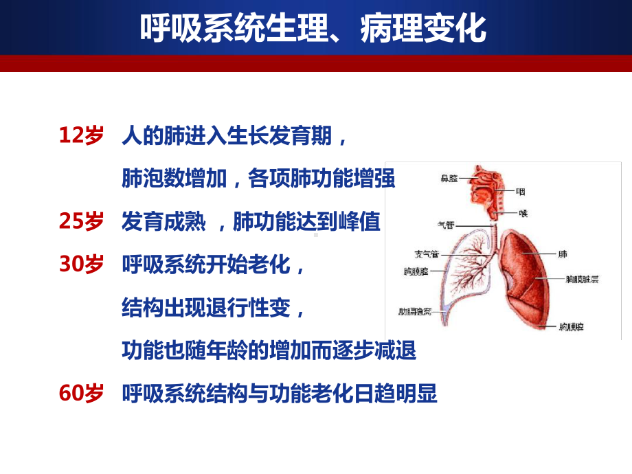 老年人常见呼吸系统疾病及处理.ppt课件.ppt_第3页