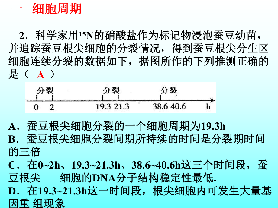 细胞增殖专题复习课件.ppt_第3页