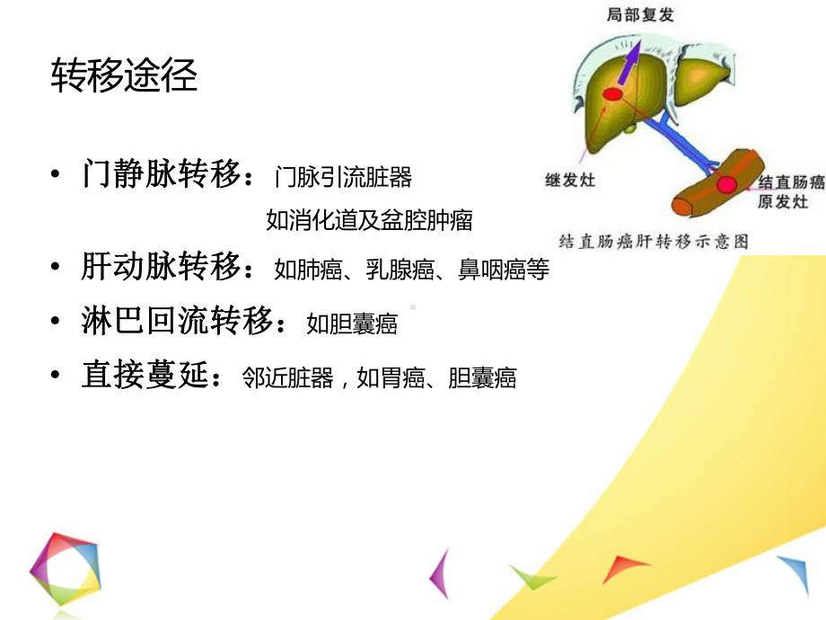 肝转移瘤的影像诊断和鉴别诊断分析课件.ppt_第3页