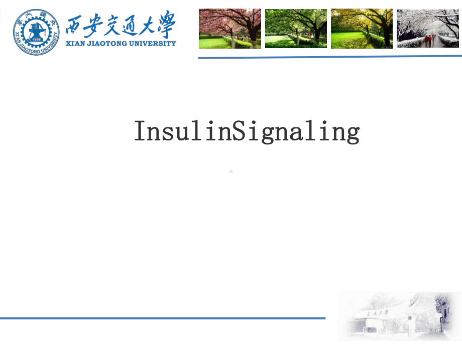 胰岛素信号通路InsulinSignaling课件.pptx_第1页