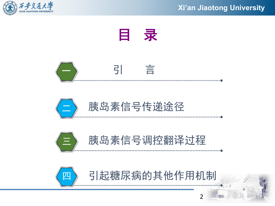 胰岛素信号通路InsulinSignaling课件.pptx_第2页