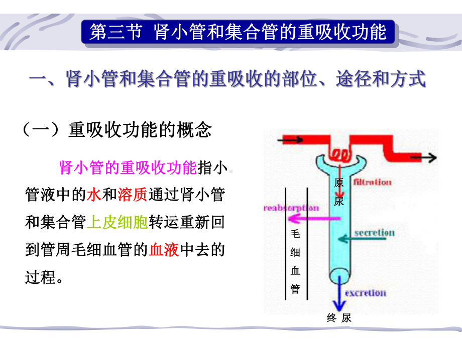 第8章肾脏生理重吸收和分泌功能课件.ppt_第1页