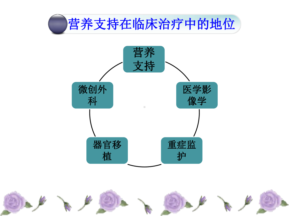 肠内营养治疗与护理概要课件.ppt_第3页