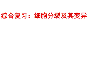 综合复习：细胞分裂及其变异分析课件.ppt