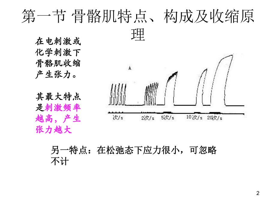 肌肉力学性质课件.ppt_第2页