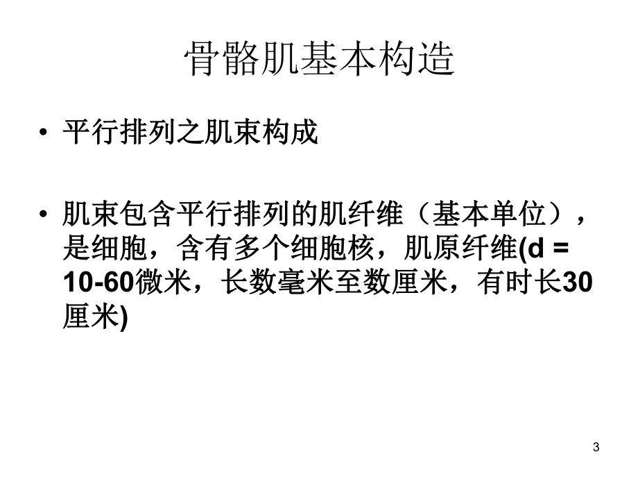 肌肉力学性质课件.ppt_第3页