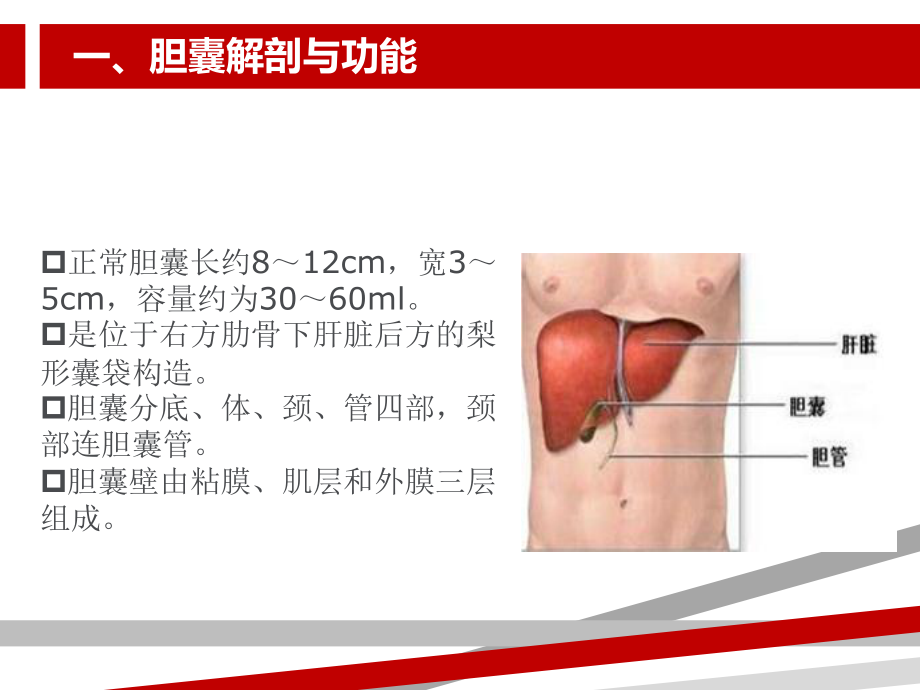 胆囊结石的护理.ppt课件.ppt_第3页