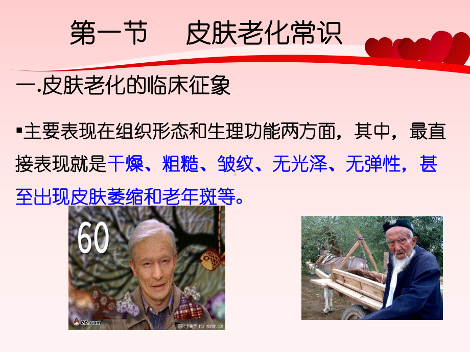 第八章延缓皮肤衰老药课件.ppt_第3页