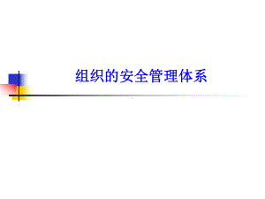 组织的安全管理体系课件.ppt